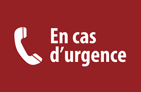 Fiche d’urgence / Emergency form