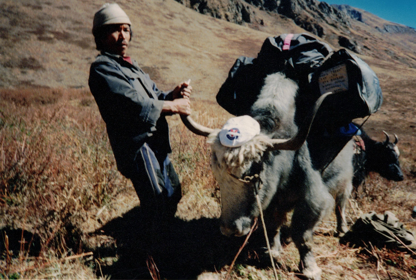 58 yak batté